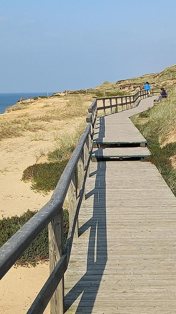 Sylt (40)